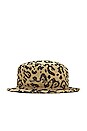 view 1 of 4 CHAPEAU in Leo