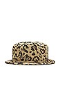 view 2 of 4 CHAPEAU in Leo