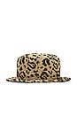 view 3 of 4 CHAPEAU in Leo