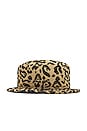 view 4 of 4 CHAPEAU in Leo