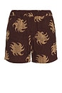 view 1 of 3 Mocha Ember Terry Shorts in Brown
