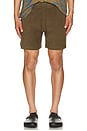 view 3 of 4 Pine Terry Shorts in Green