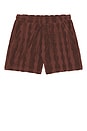 view 1 of 5 Totem Terry Shorts in Brown