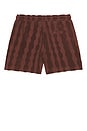 view 2 of 5 Totem Terry Shorts in Brown