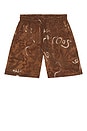 view 4 of 4 Nicola Shorts in Brown