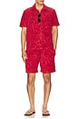 view 3 of 5 Porto Shorts in Red