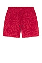 view 4 of 5 Porto Shorts in Red