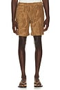 view 1 of 4 Porto Shorts in Light Brown