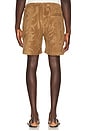 view 2 of 4 Porto Shorts in Light Brown