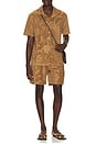 view 3 of 4 Porto Shorts in Light Brown