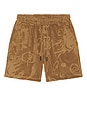 view 4 of 4 Porto Shorts in Light Brown