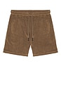 view 4 of 4 Vibra Shorts in Brown