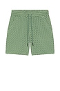 view 4 of 5 SHORT PORTO in Green