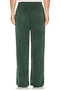 view 4 of 5 PANTALON DREAMSCAPER  in Dark Green