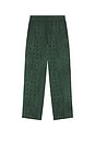 view 6 of 5 PANTALON DREAMSCAPER  in Dark Green