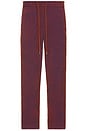 view 3 of 5 Deep Cut Ayora Terry Pants in Rusty Red