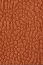 view 3 of 5 Terracotta Turleo Zack Full Zip Shirt in Red