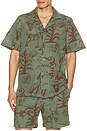 view 1 of 4 Poplan Cuba Shirt in Green