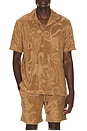 view 1 of 4 Polo Shirt in Light Brown