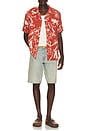 view 3 of 4 Gensou Rocco Shirt in Red