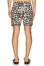 view 2 of 4 Leo Swim Shorts in Leo