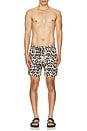 view 3 of 4 Leo Swim Shorts in Leo
