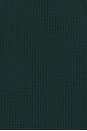 view 5 of 5 BERNUDAS CALO in Dark Green