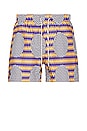 view 1 of 5 Chester Finesse Swim Shorts in Blue