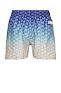 view 2 of 5 Polar Sky Swim Shorts in Blue & White