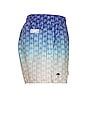 view 3 of 5 Polar Sky Swim Shorts in Blue & White