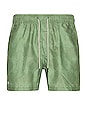 view 1 of 3 Blurry Crown Swim Shorts in Green