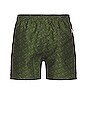 view 2 of 3 Green Squiggle Swim Shorts in Green Squiggle