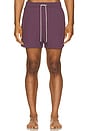 view 4 of 4 Nylon Swim Shorts in Purple