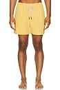 view 4 of 4 Nylon Swim Shorts in Yellow