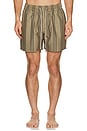 view 4 of 4 Regalia Swim Shorts in Multi