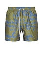 view 1 of 5 Highland Swim Shorts in Multi