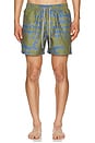 view 4 of 5 Highland Swim Shorts in Multi