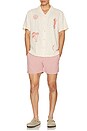 view 4 of 4 Blush Nylon Swim Shorts in Pink