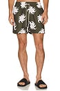 view 4 of 5 Pine Ember Swim Shorts in Green