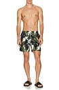 view 5 of 5 Foliago Swim Shorts in Multi