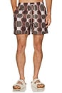 view 5 of 6 Sable Totemic Swim Shorts in Multi
