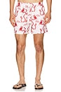 view 1 of 4 Nimbus Swim Shorts in Red