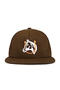 view 1 of 4 Horse Shoe Logo Hat in Brown