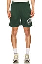 view 1 of 4 Mustang Athletics Mesh Shorts in Forest Green