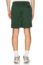 view 2 of 4 Mustang Athletics Mesh Shorts in Forest Green
