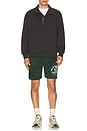 view 3 of 4 Mustang Athletics Mesh Shorts in Forest Green