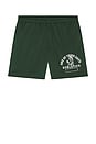view 4 of 4 Mustang Athletics Mesh Shorts in Forest Green
