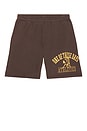view 4 of 5 SHORTS DEPORTIVOS MUSTANG in Dark Brown