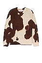 view 1 of 3 Horse Coat Sweater in Bone & Brown