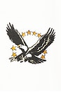 view 3 of 4 ФУТБОЛКА SCREAMING EAGLE in Bone